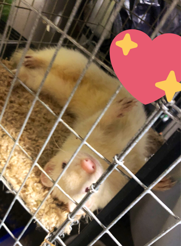 63☆遅く起きた日のお出かけとは？