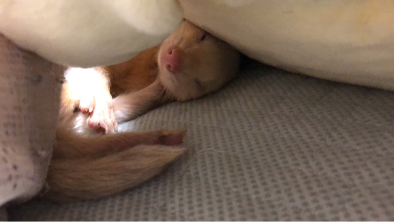 85☆はーい！どこの学校入りたい？？