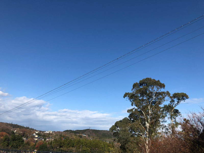 35☆伊豆旅行いきました