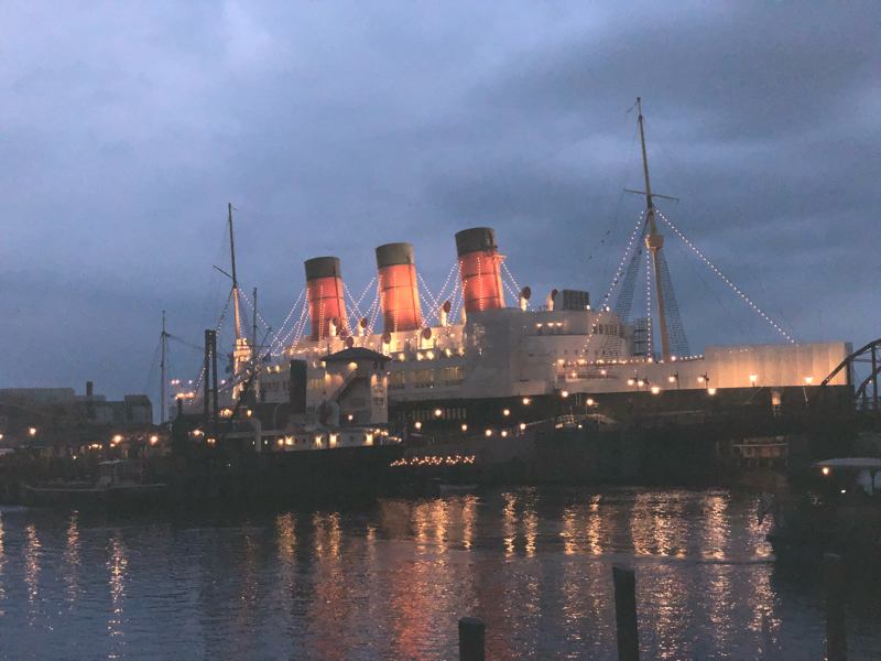 36☆今年を振り返る4月〜8月編