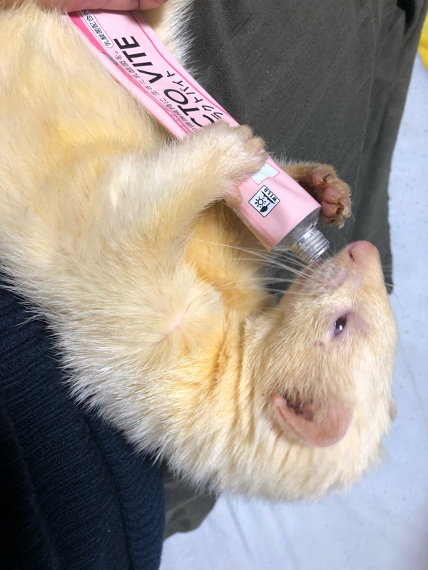 52☆練乳おばけ