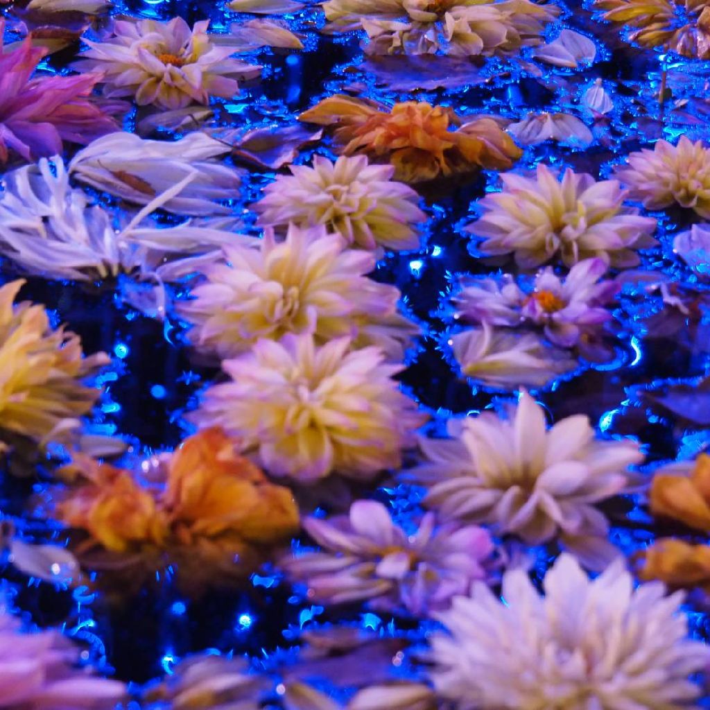 底辺書き手限界ヲタクの日常。