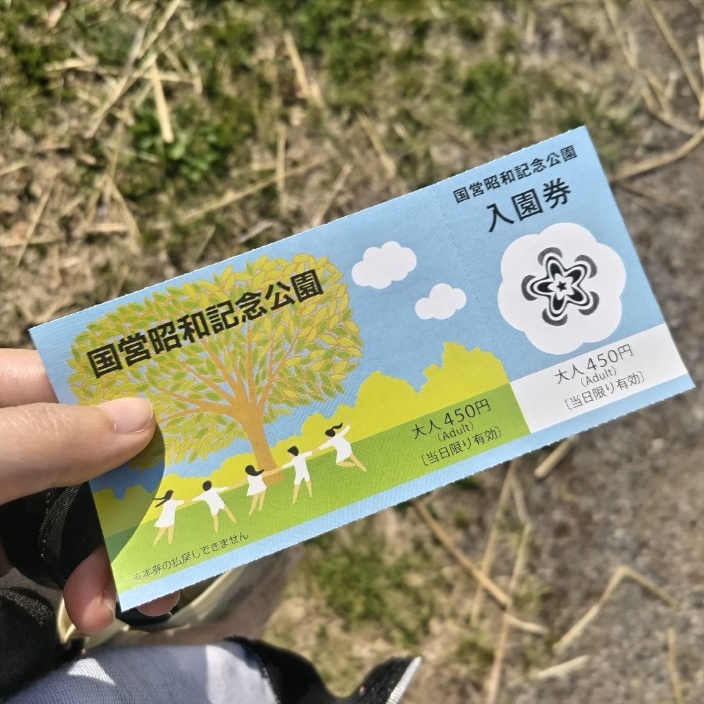 【雑談】最近のこと。