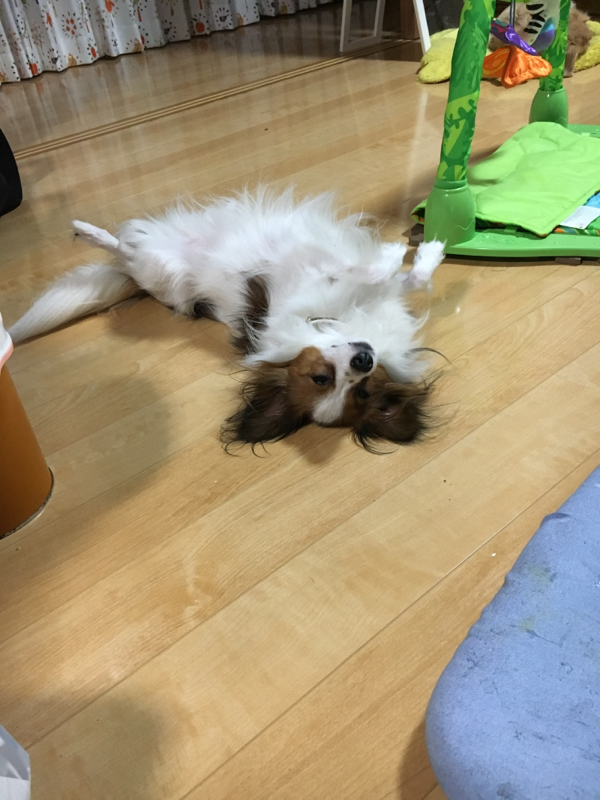 これから先の話