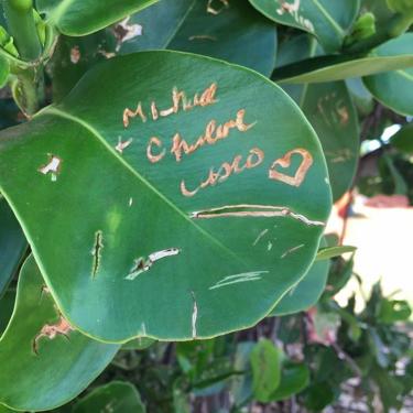 気付きその2:片付け