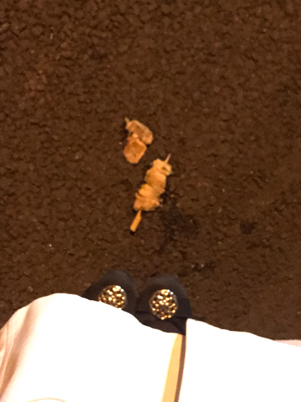 #03 コンプレックスってありますか？〜酔っ払いOLのひとり言