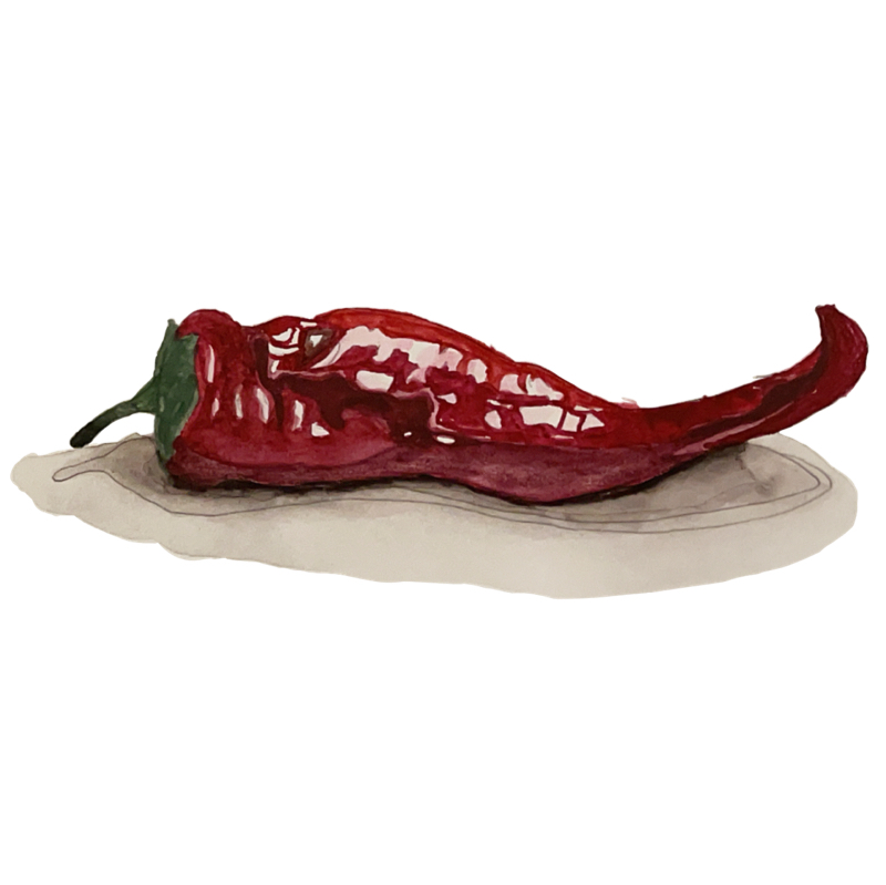 Likaco Maki (槇 里佳子)