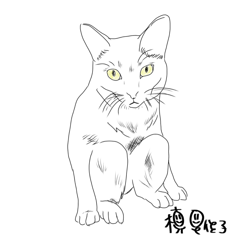 Likaco Maki (槇 里佳子)