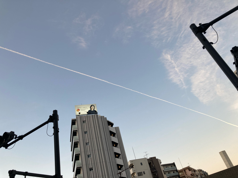 チキンゾンビーズ①