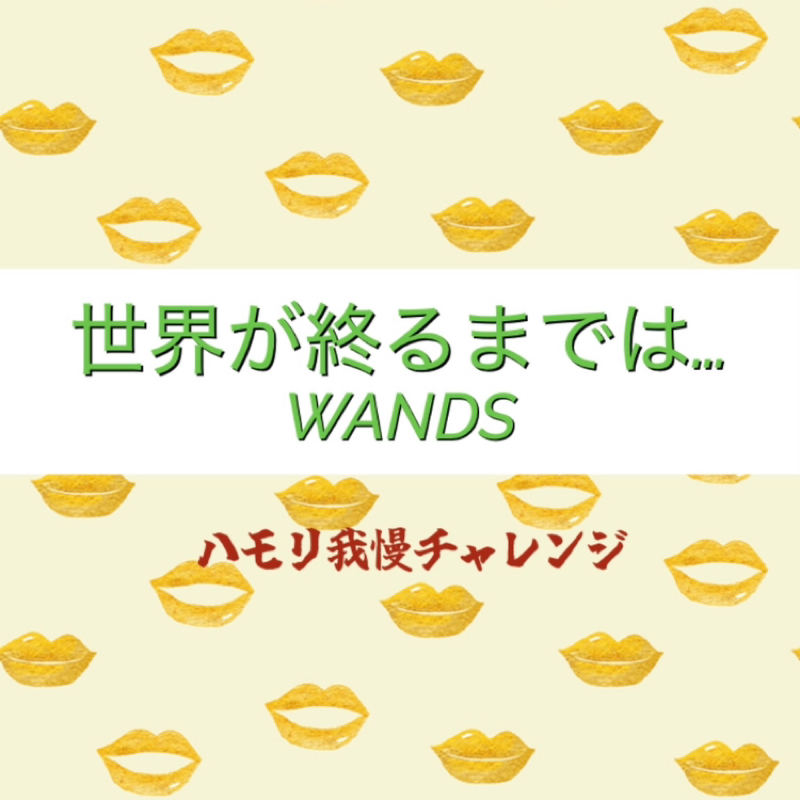 【ハモリ我慢チャレンジ】世界が終るまでは… / WANDS ※アカペラ