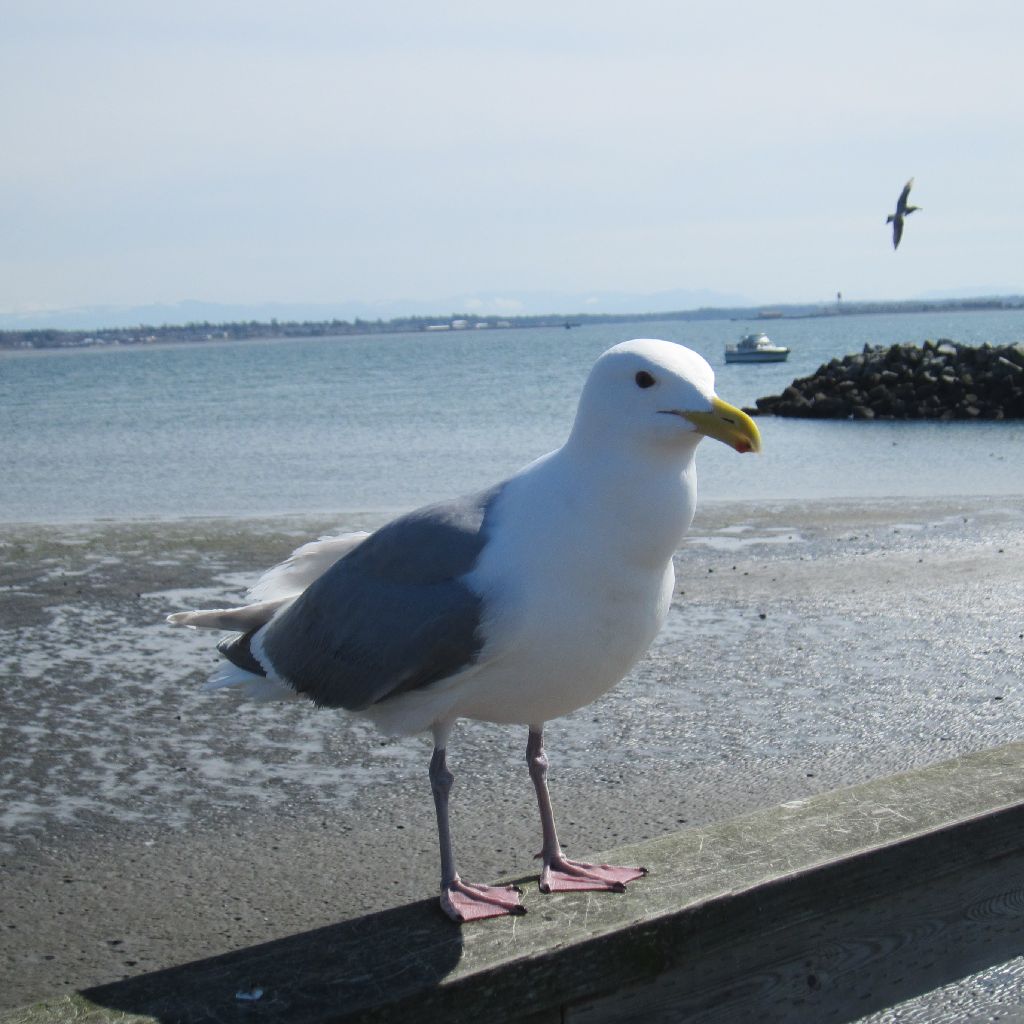 1990年ズの で、どーすんのよ