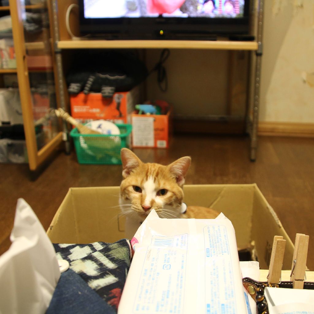 お酒がウマいシチュエーション