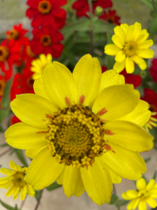 旧約聖書 詩篇107篇1節