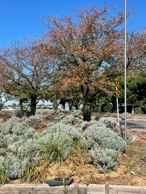 新約聖書 ピリピ人への手紙4章13節、コリント人への手紙第二12章9節