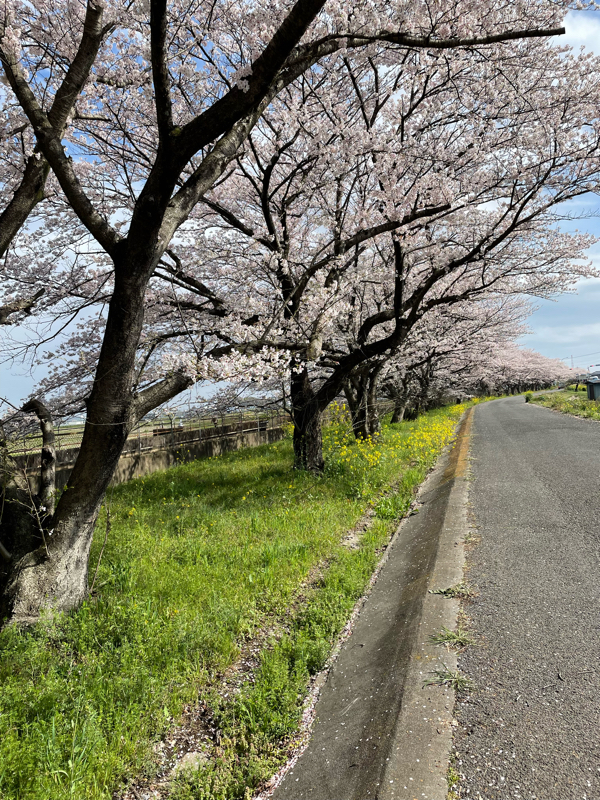 新約聖書 エペソ人への手紙1章12節