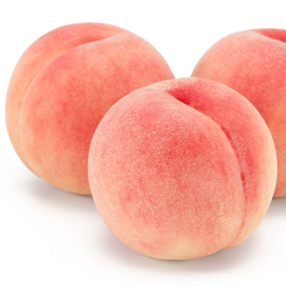 #1 第１回ウダウダ童話