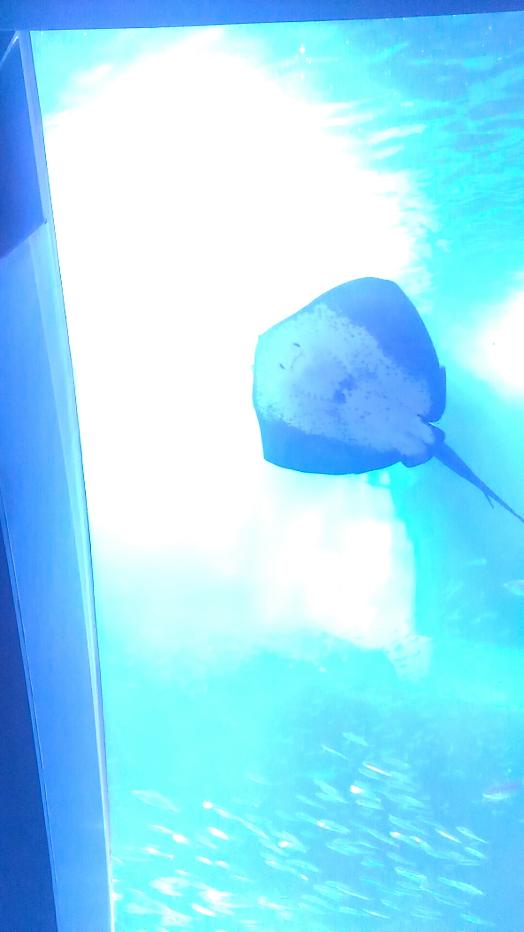 2回目 バイトの話