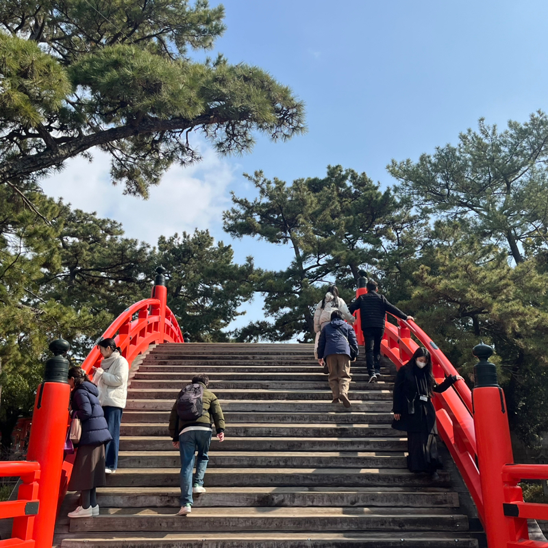 みど子の部屋450 あっぷっぷ