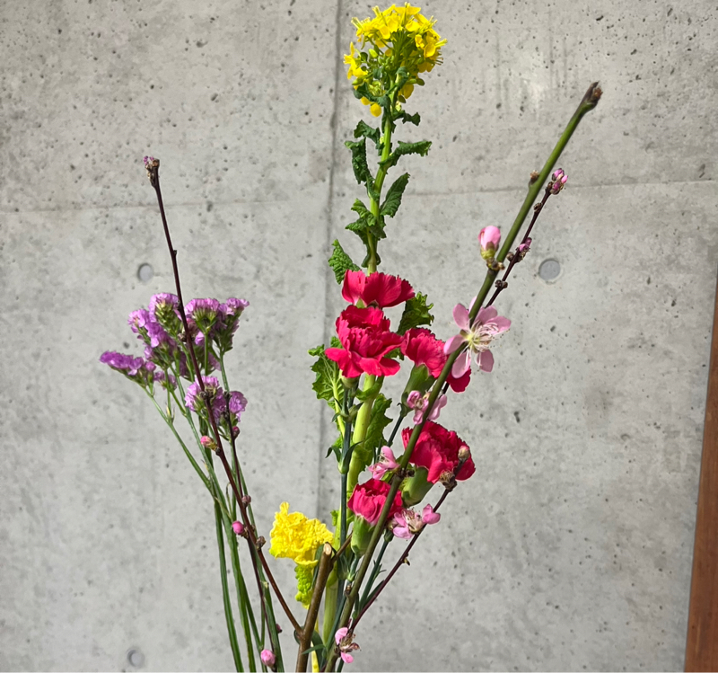 みど子の部屋451 ぶっ倒れるの巻