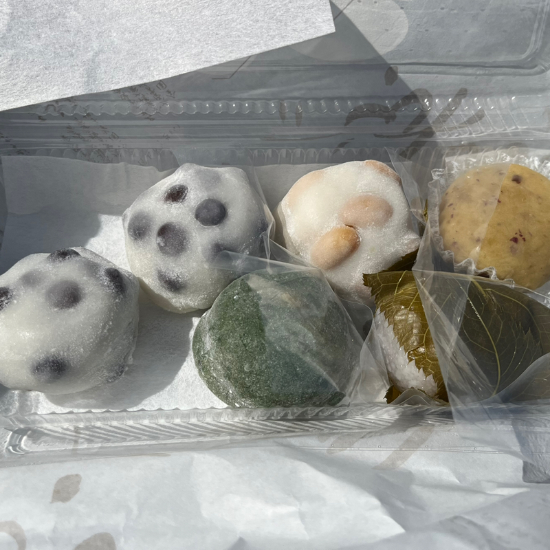 みど子の部屋457 疲れたにょよ