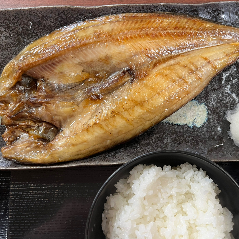 みど子の部屋465 陽気