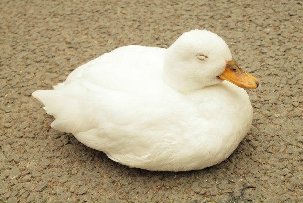 好きな男の話Part2