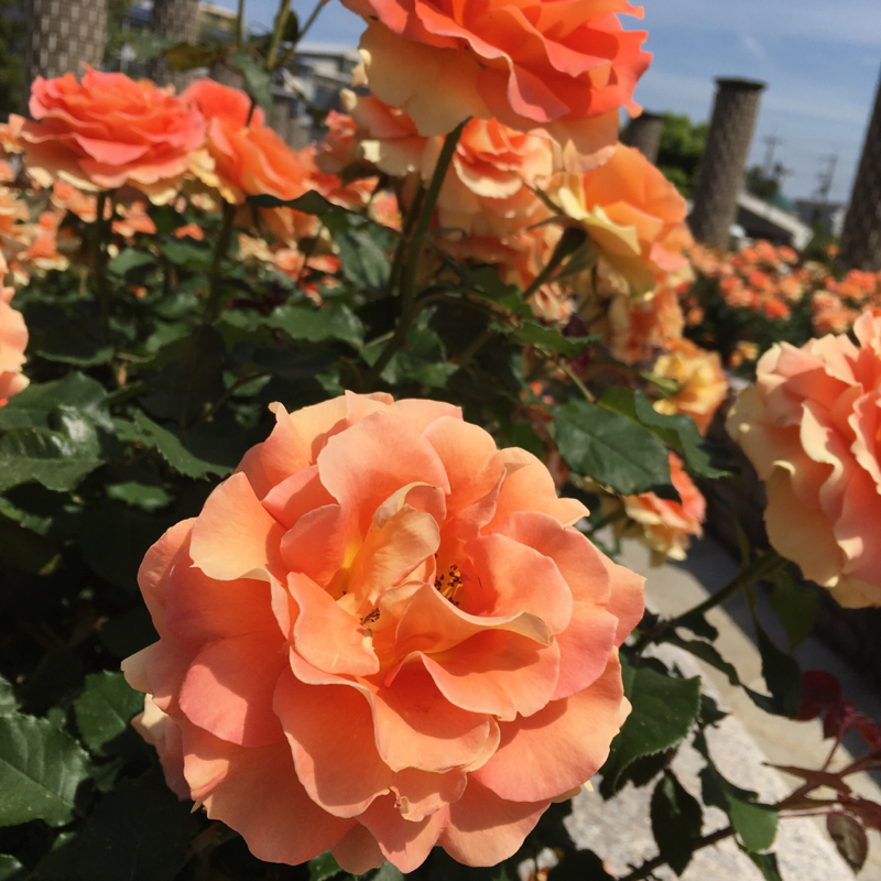 さいはて低層階ループからの脱出3-1