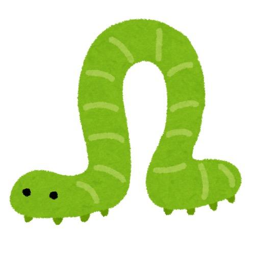 最近食べておいしかった虫ベスト3