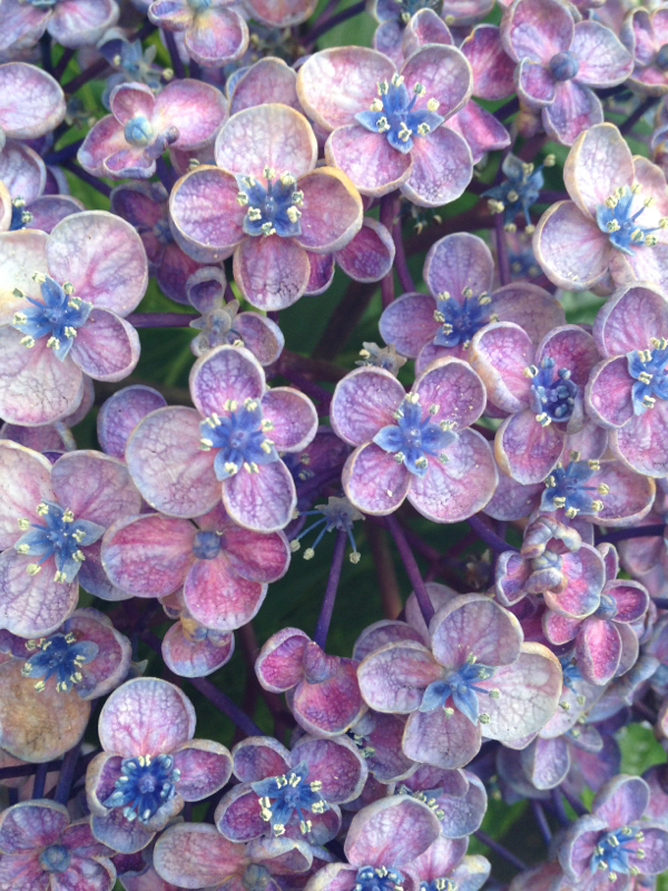 僕の名前を知らない君への設定小話2