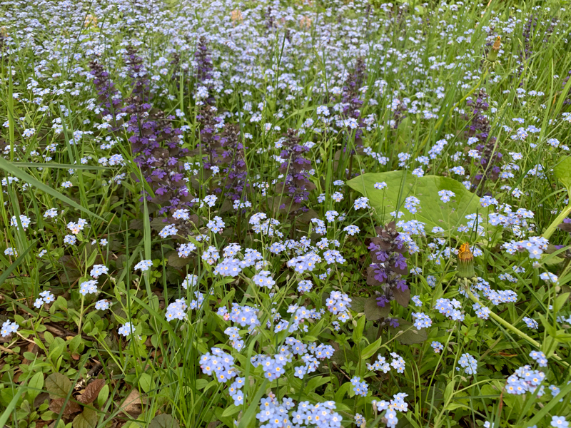 僕の名前を知らない君へ設定小話3
