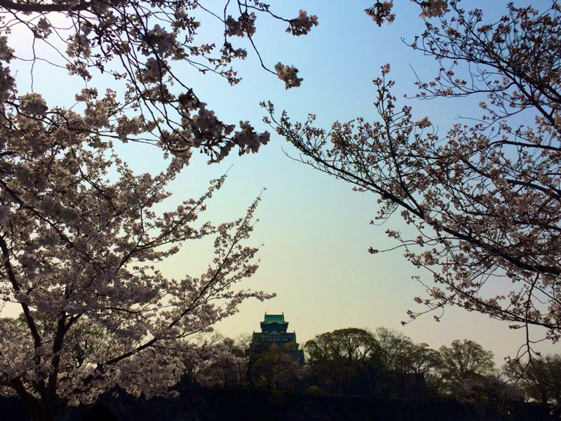 肝臓のサイズを誇るな