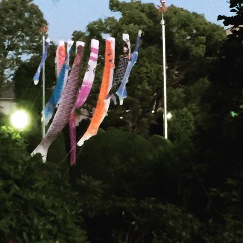 シャンプーについて