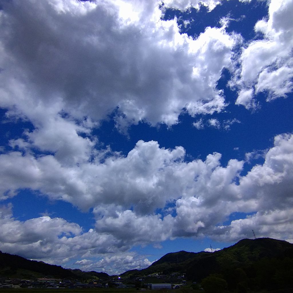 親父(2022.6.13 14時58分)