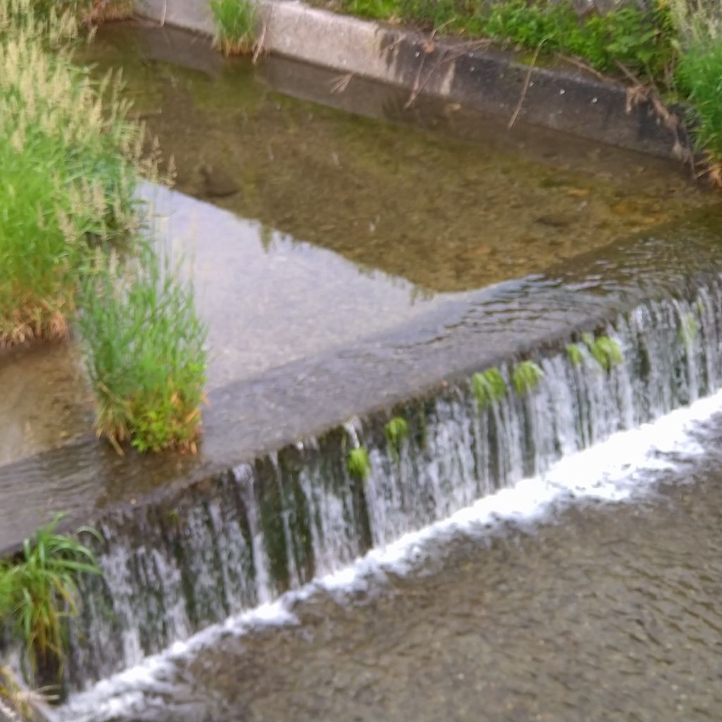 親父(2022.6.15 5時30分)