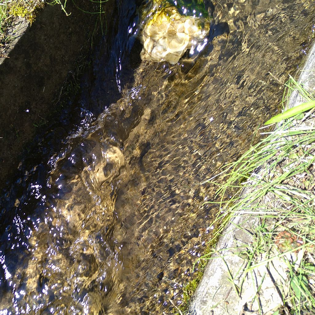 親父(2022.6.15 9時10分)