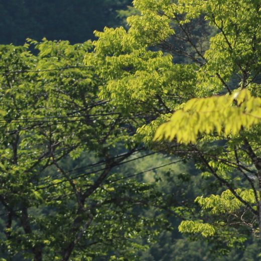 親父(2022.6.16 9時30分)