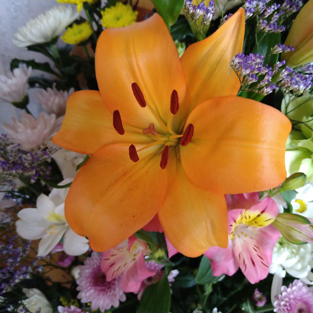 親父(2022.6.17 17時13分)