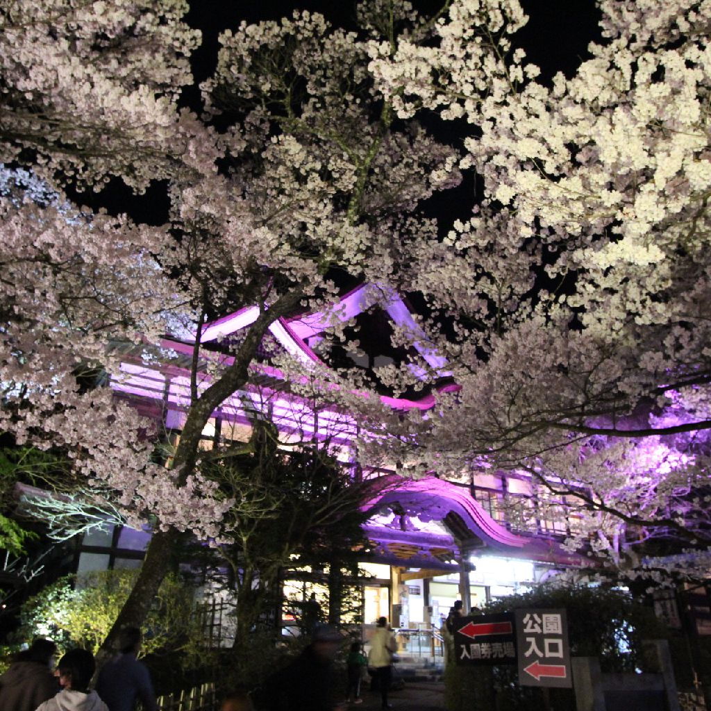 高遠城址公園 from Radiotalk episode artwork