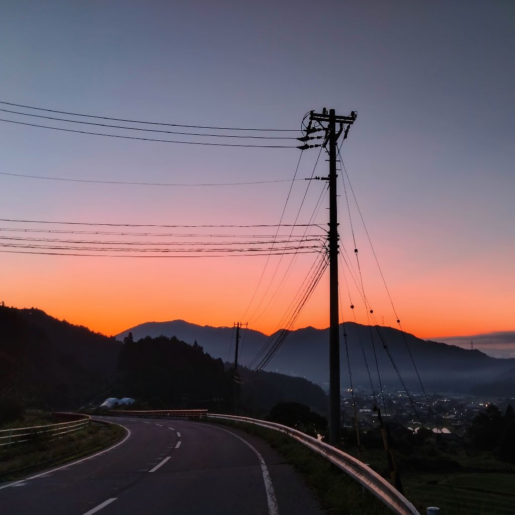 カブさんぽ(2023/07/18)