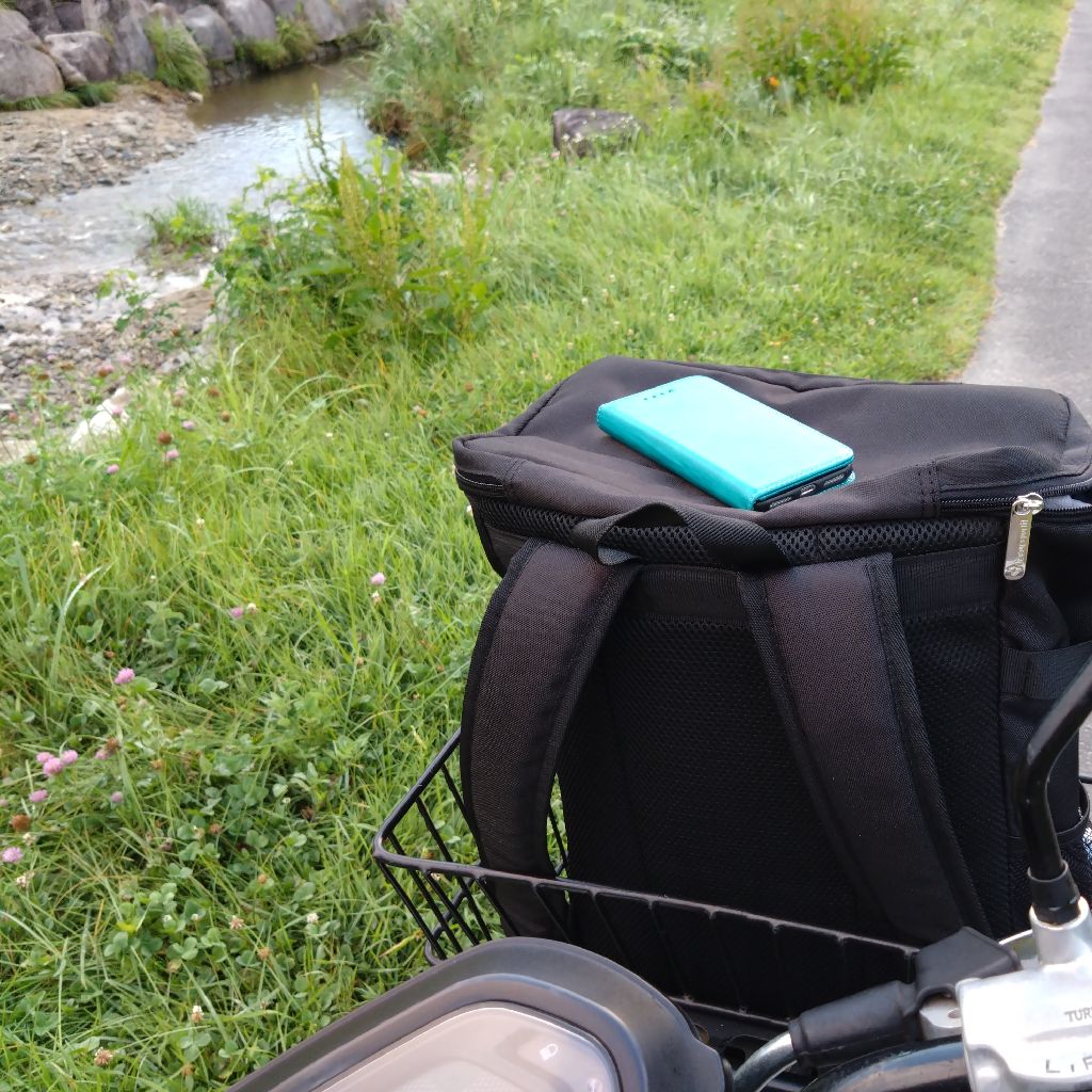 カブさんぽ(声無し)2023/07/20