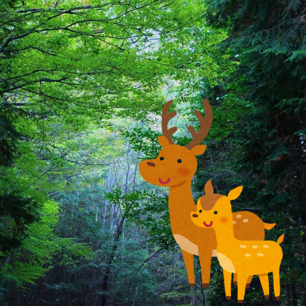 振り返ったらシカがいる