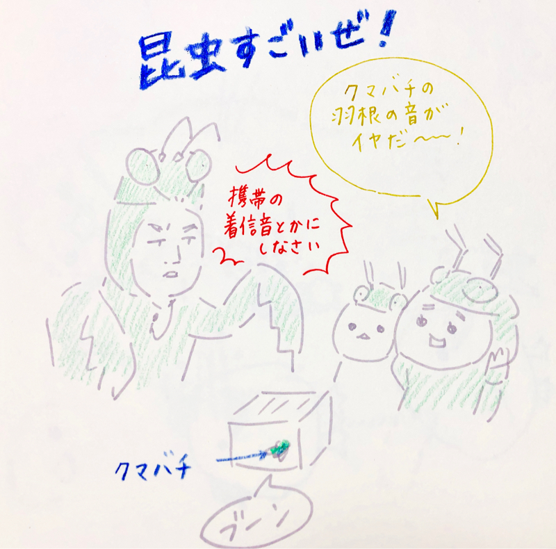 おやすみにゃーこ