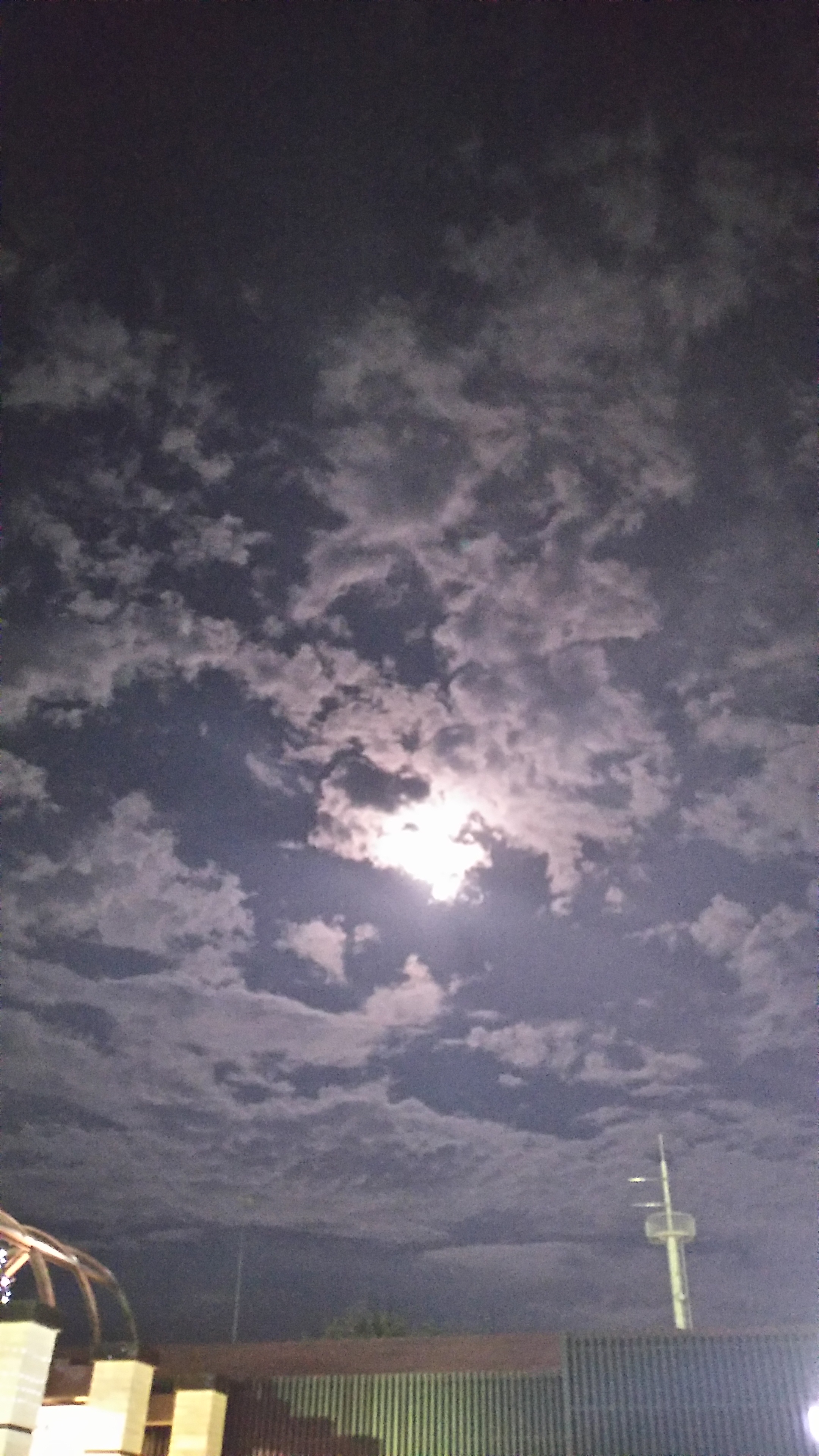 #3 監察医(6)について 03