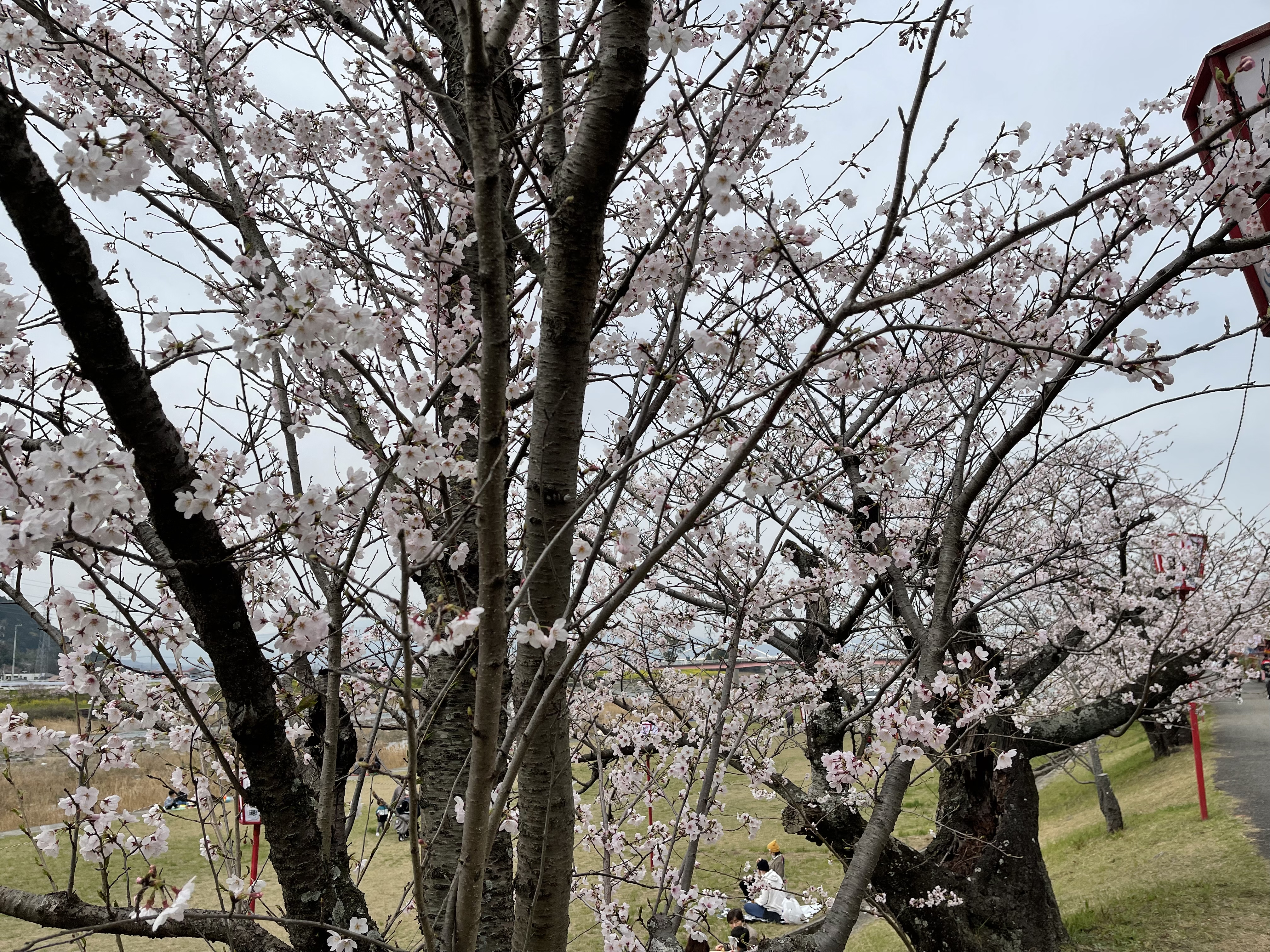 DJ泰三の番組 朝のひととき