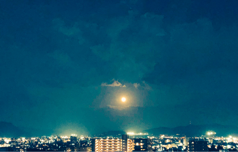 カプ妄想語ったー