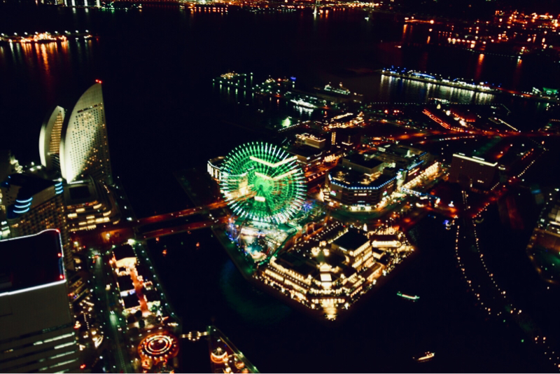 1.私と迷い犬と推しと