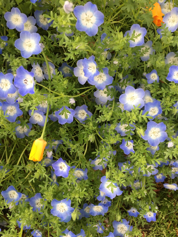 2.字書きに訊きたい10の質問