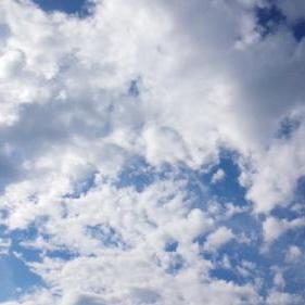 まりものもりもりらいふ