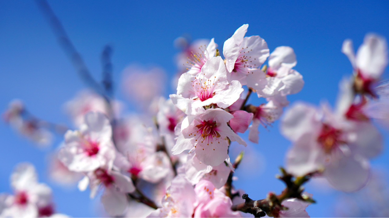 アーモンドミルクちゃん🤱