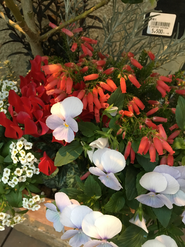 #6 ジャンル遍歴のはなし